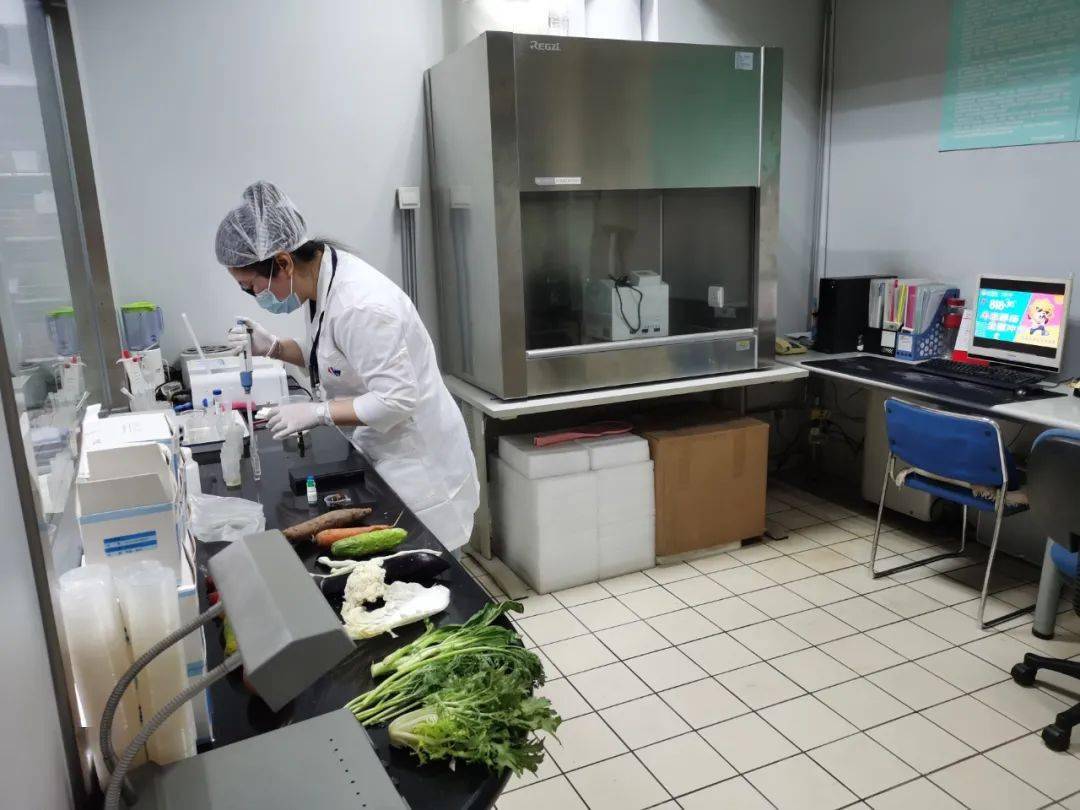 镇康食品检测实验室装修方案